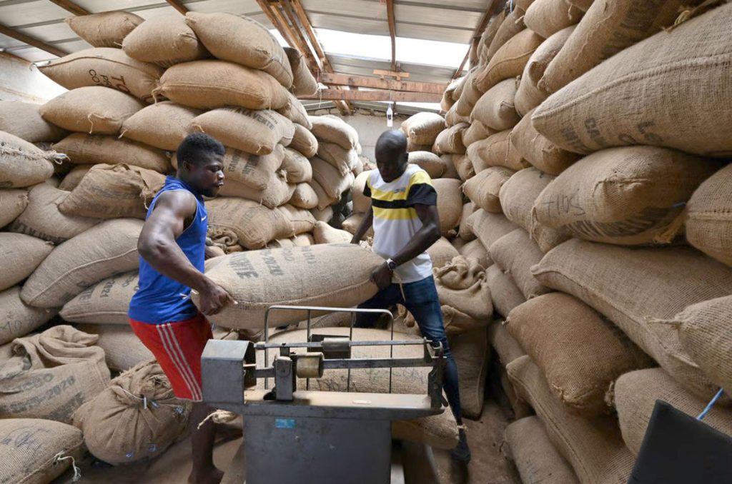 cacao-logistics-1024x678 Du champ au port, la chaîne de la logistique du cacao ivoirien